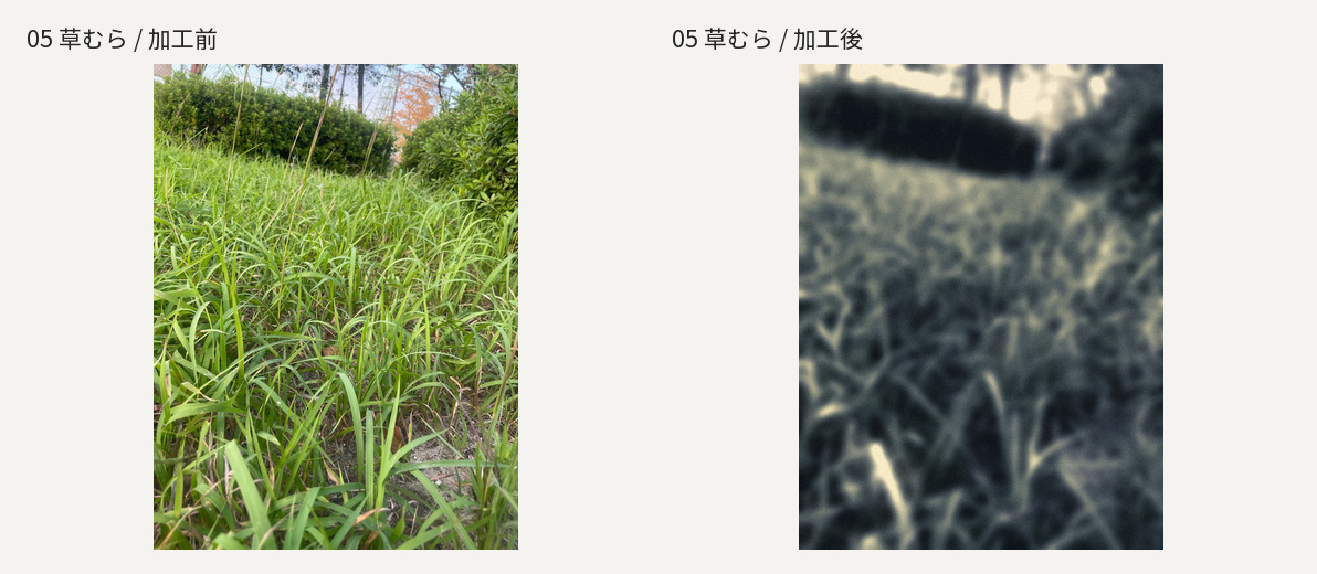 草むら。左が元写真、右が加工後。